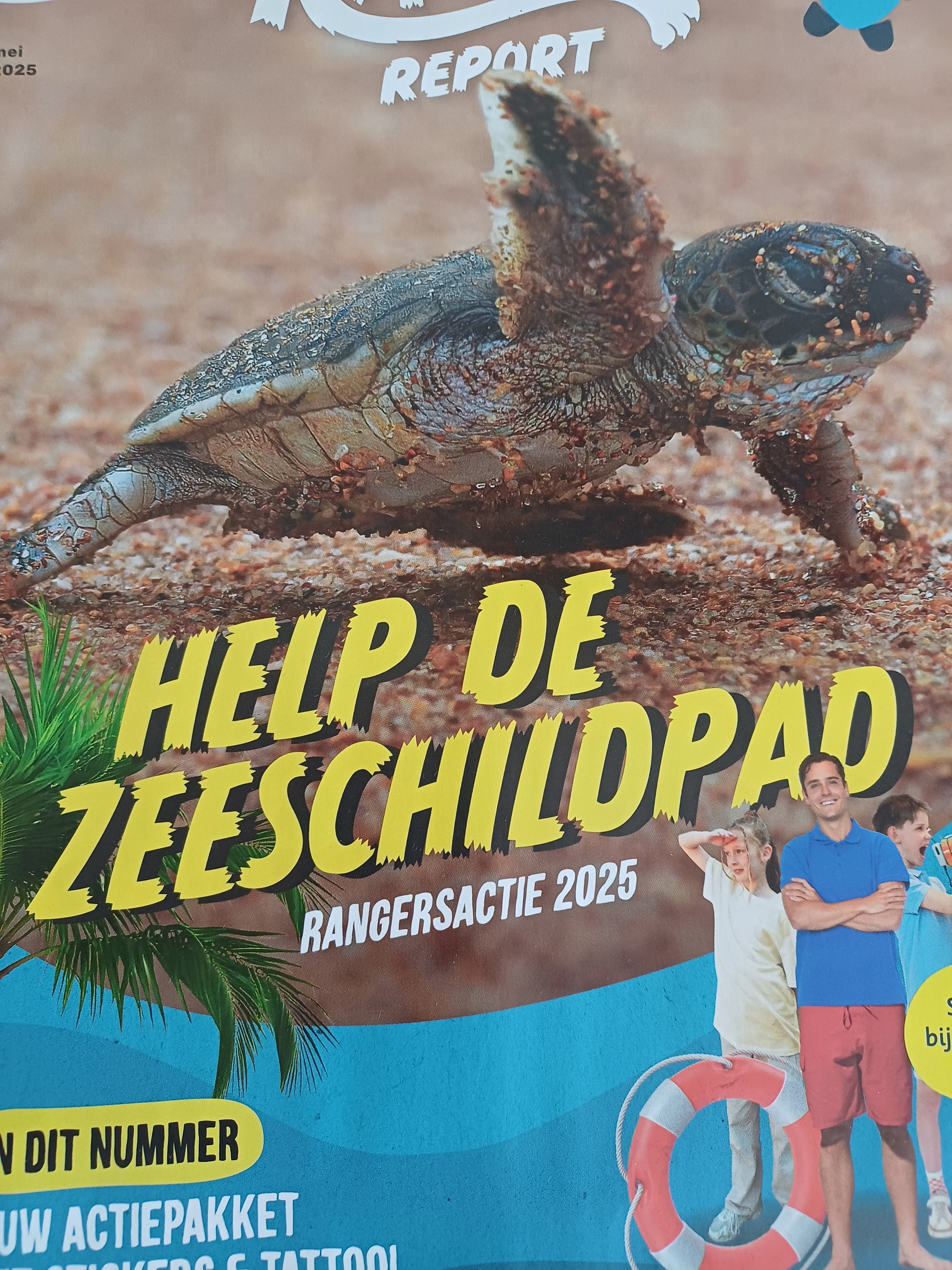 Red zeeschildpad met yves