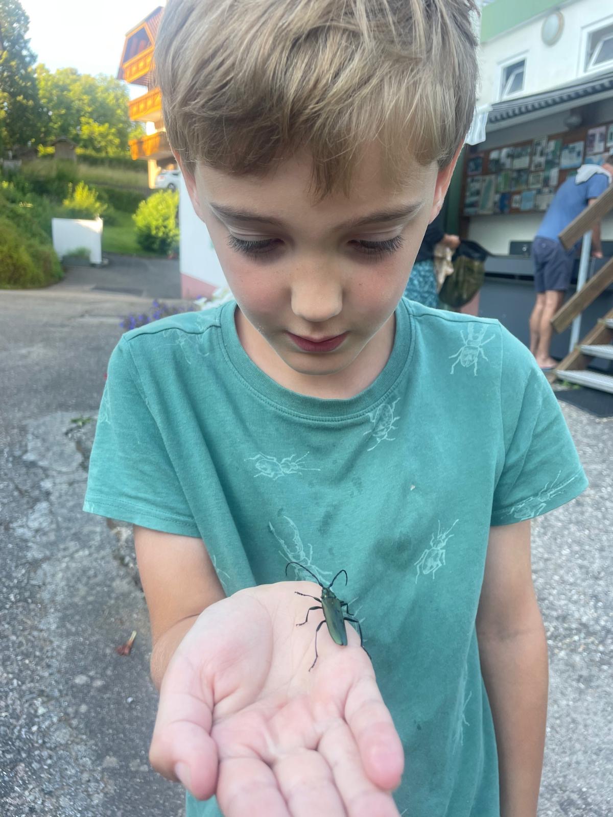 Operatie schildpad ei 