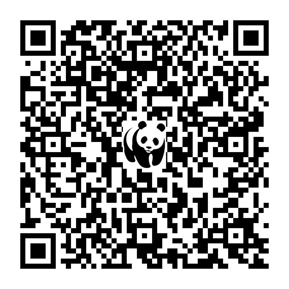Scan deze QR-code om te doneren (vernieuw de pagina als je geen QR-code ziet)