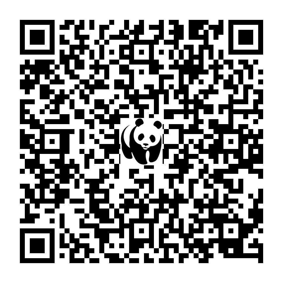 Scan deze QR-code om te doneren (vernieuw de pagina als je geen QR-code ziet)