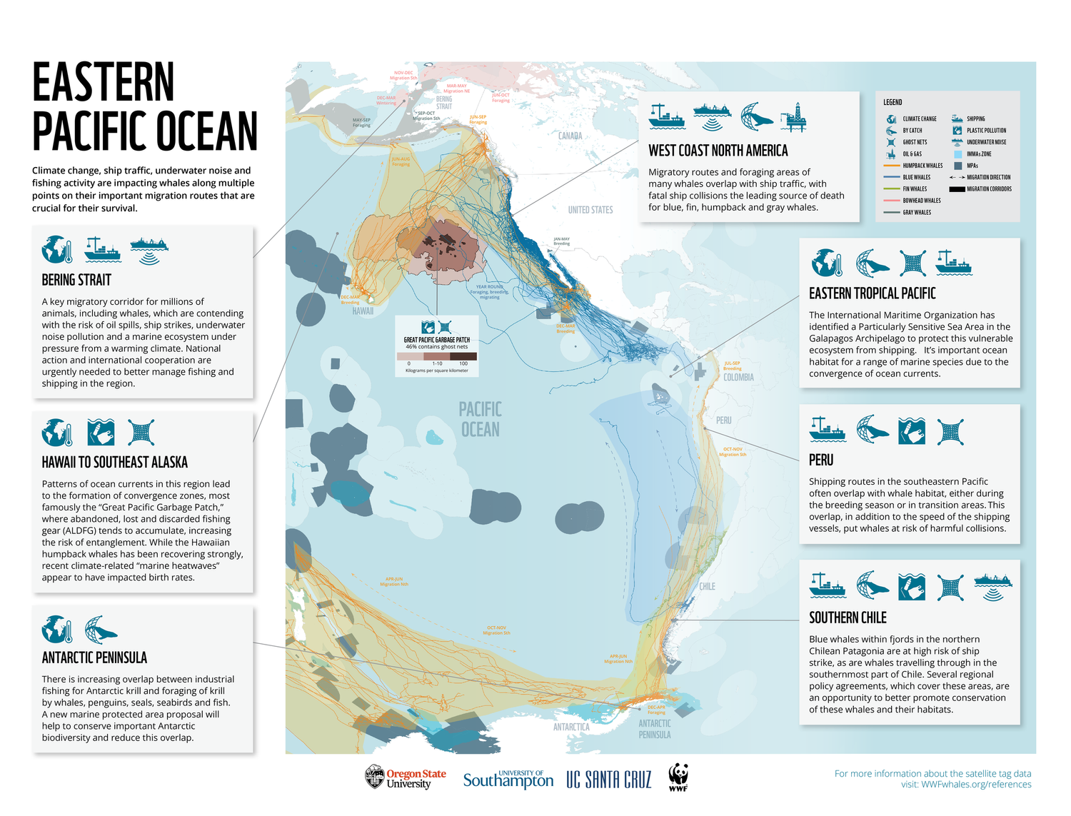 De migratieroutes van walvissen, van de Zuidpool tot de Noordpool door de Stille Oceaan