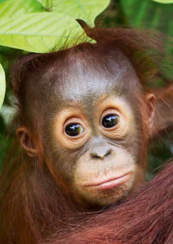 Feest Margriet en Arjen