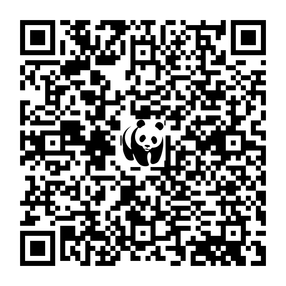 Scan deze QR-code om te doneren (vernieuw de pagina als je geen QR-code ziet)