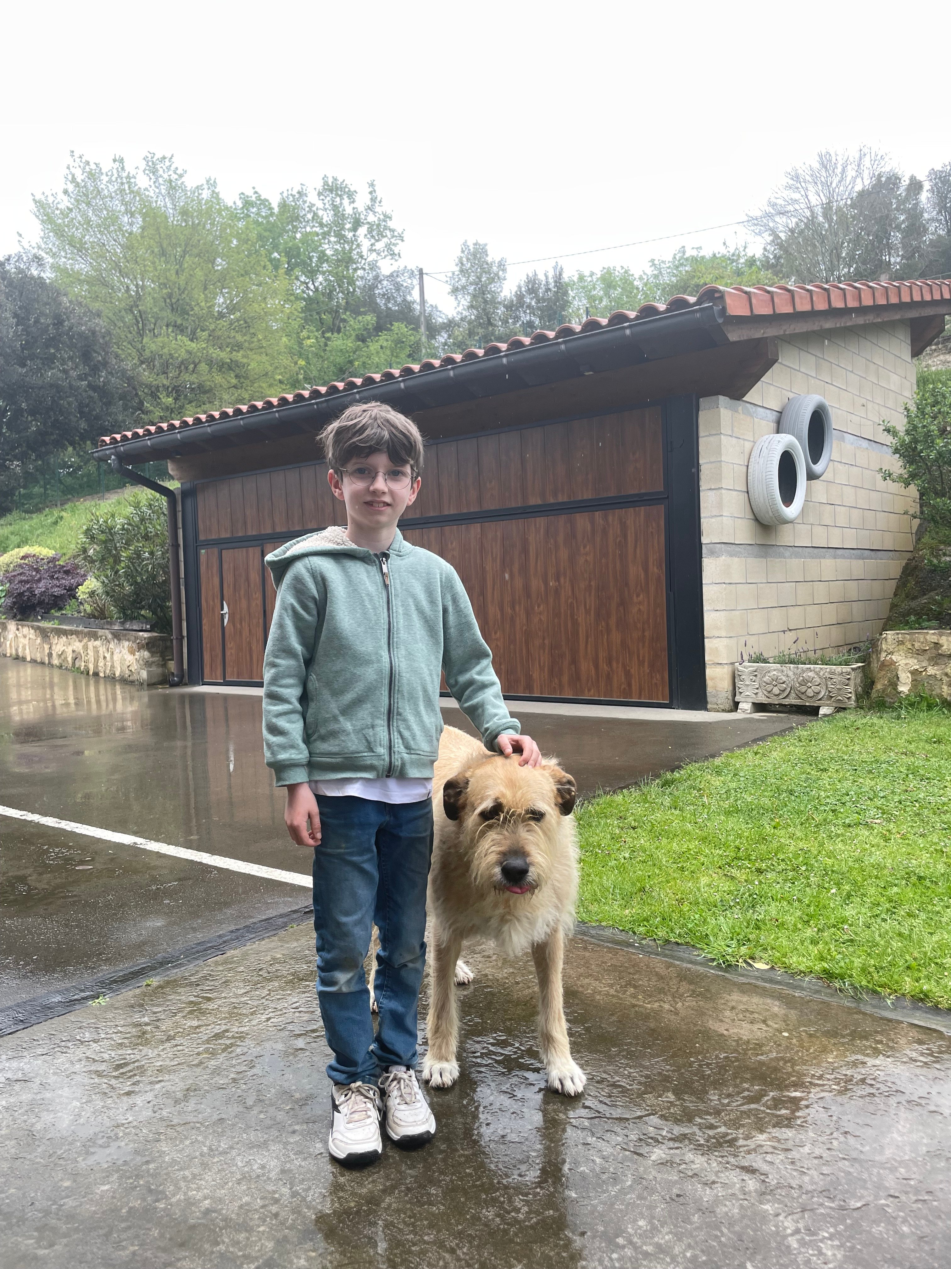 schildpad brigade actie