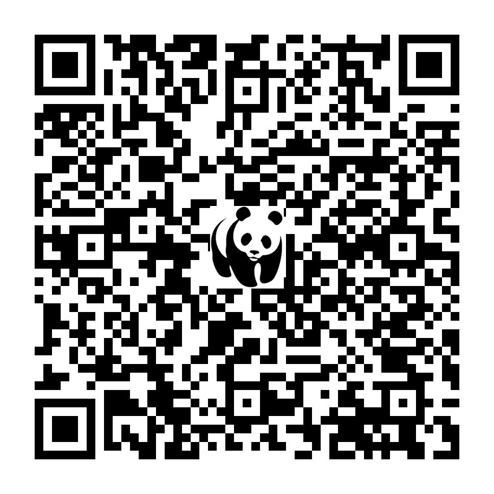Scan deze QR-code om te doneren (vernieuw de pagina als je geen QR-code ziet)