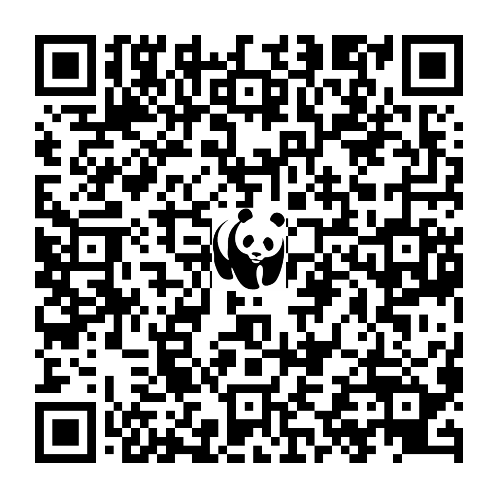 Scan deze QR-code om te doneren (vernieuw de pagina als je geen QR-code ziet)