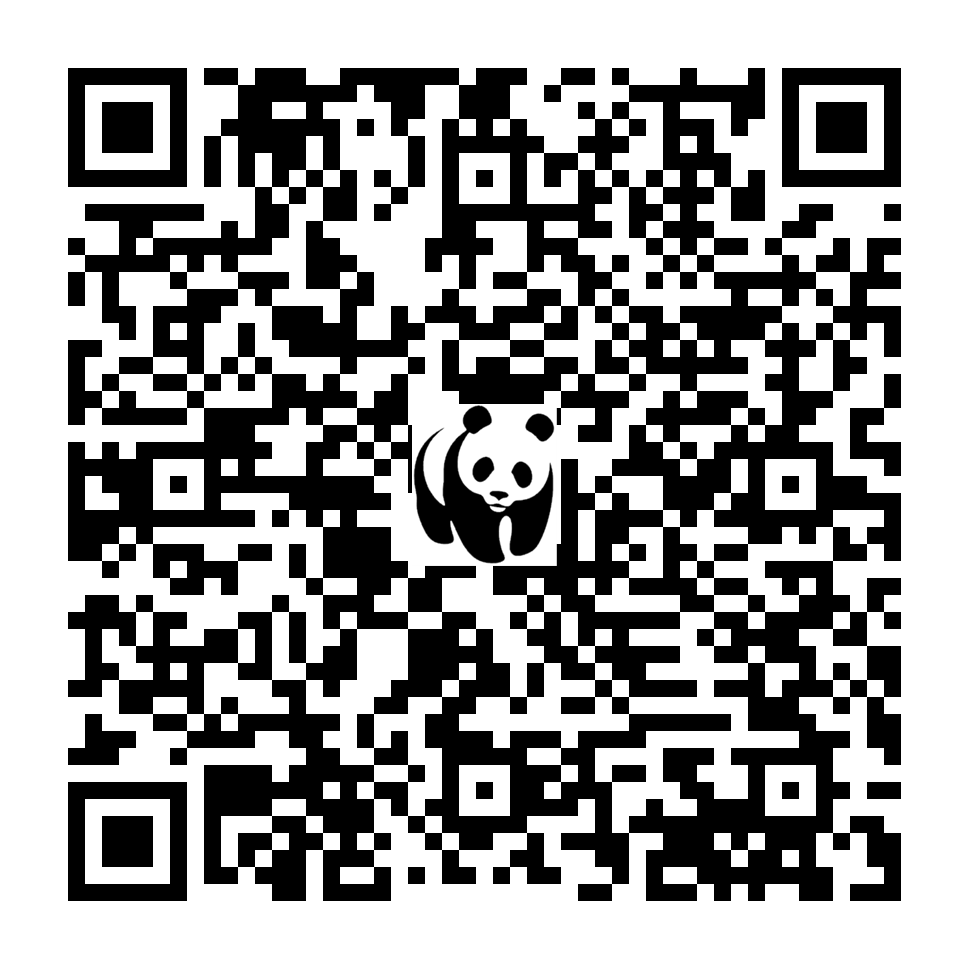 Scan deze QR-code om te doneren (vernieuw de pagina als je geen QR-code ziet)