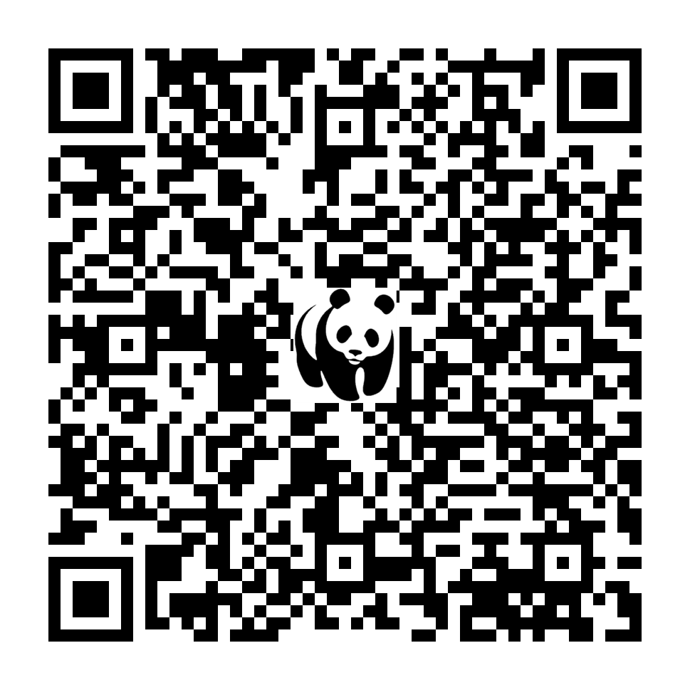 Scan deze QR-code om te doneren (vernieuw de pagina als je geen QR-code ziet)