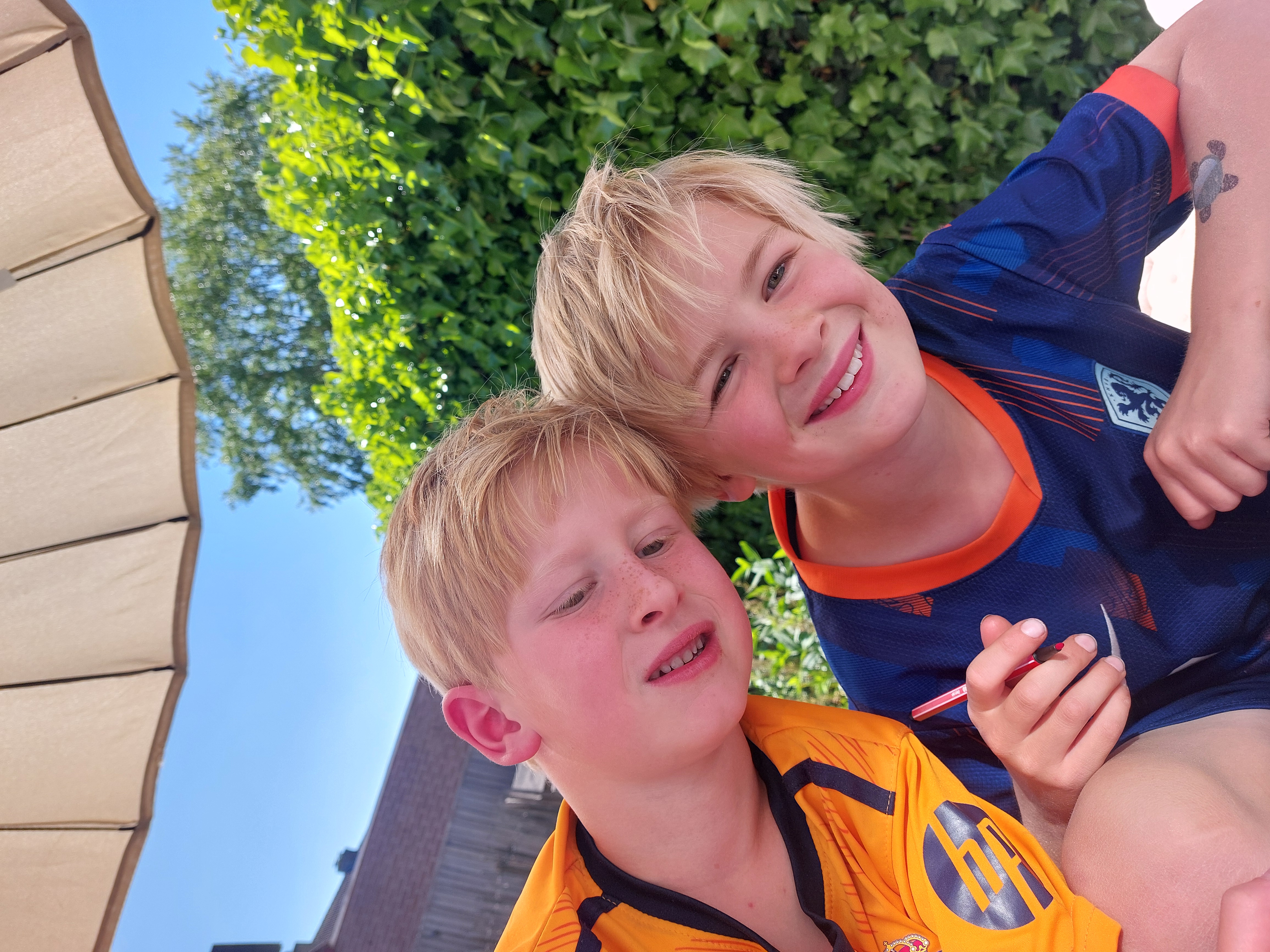 Red de zeeschildpadden