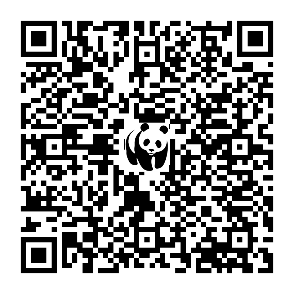 Scan deze QR-code om te doneren (vernieuw de pagina als je geen QR-code ziet)