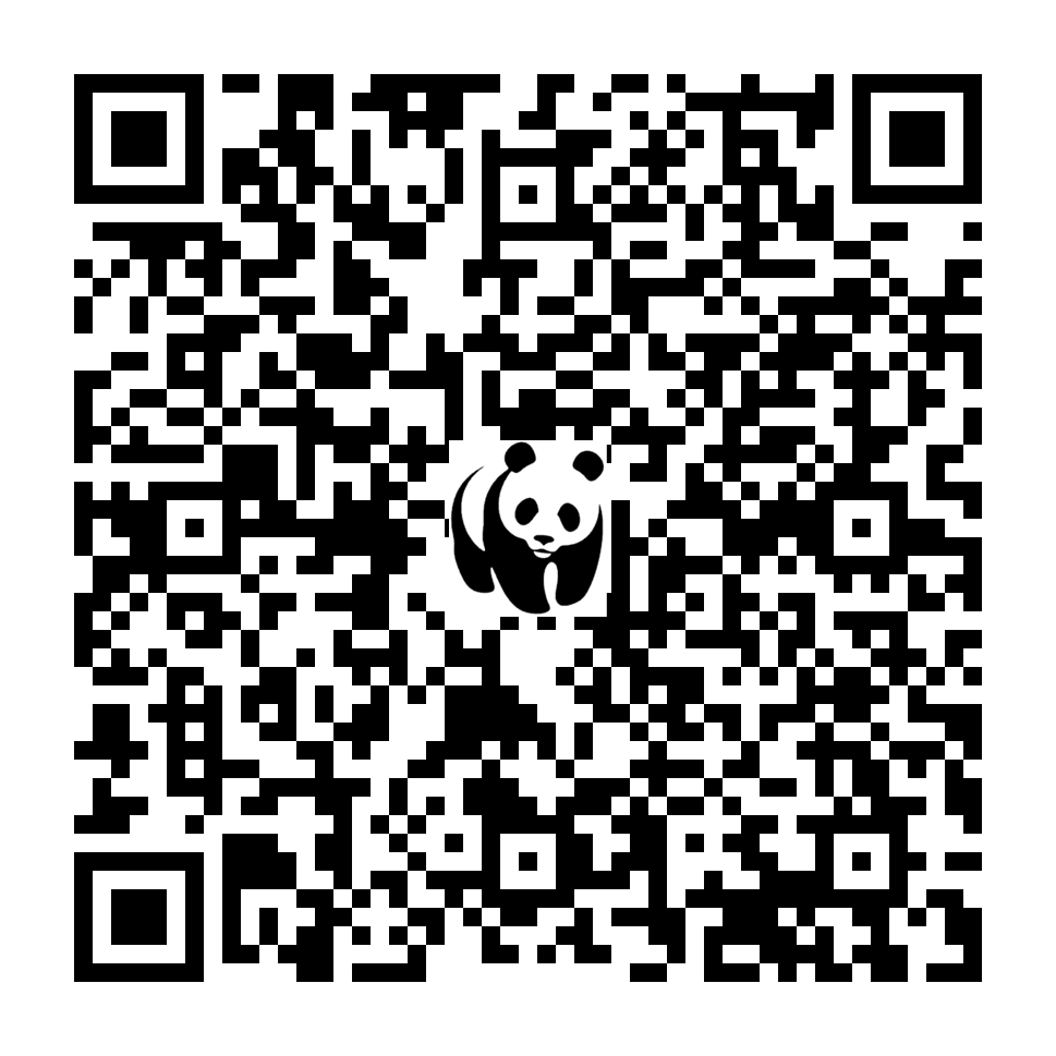 Scan deze QR-code om te doneren (vernieuw de pagina als je geen QR-code ziet)