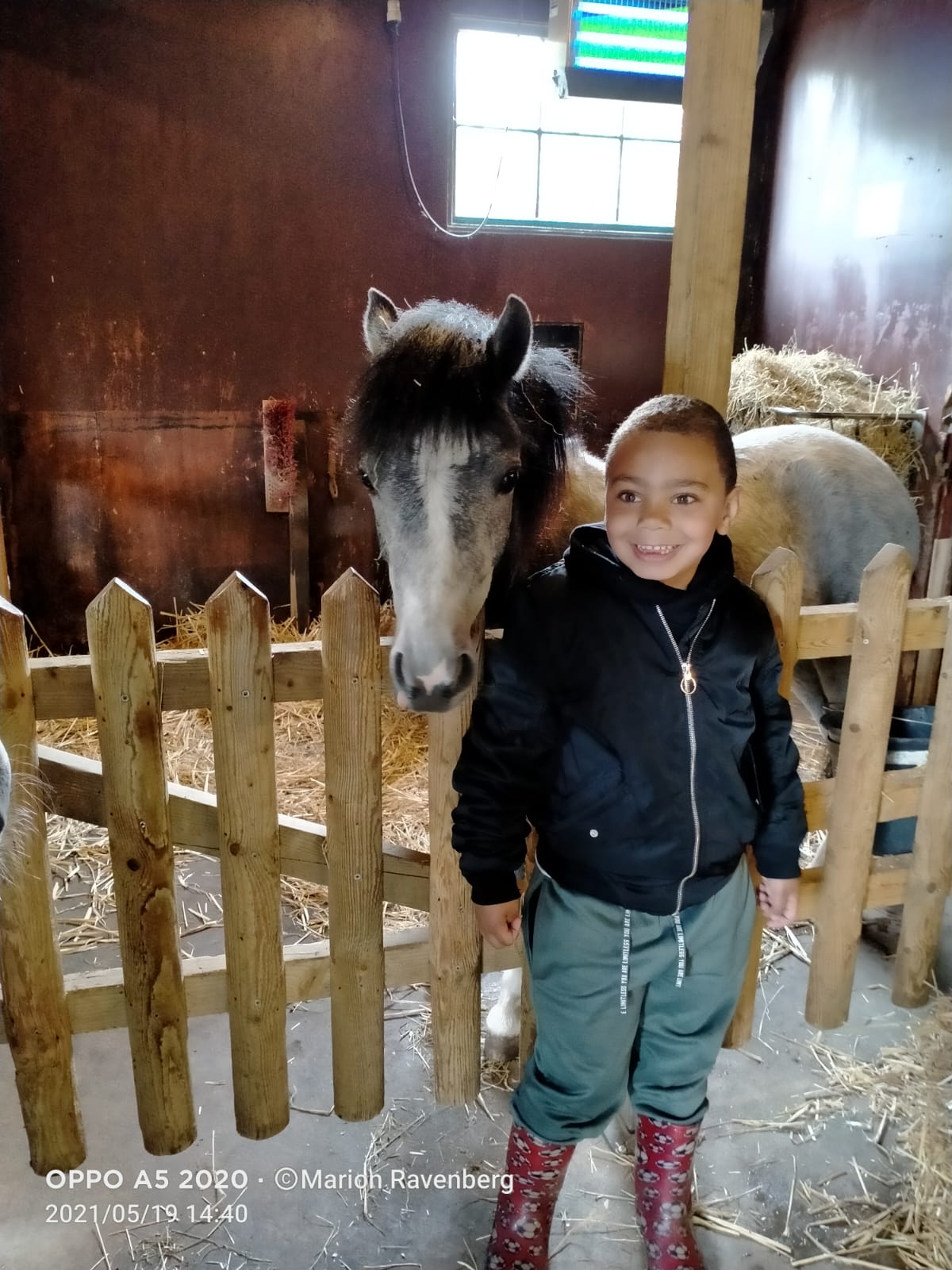 Hart voor schildpadjes