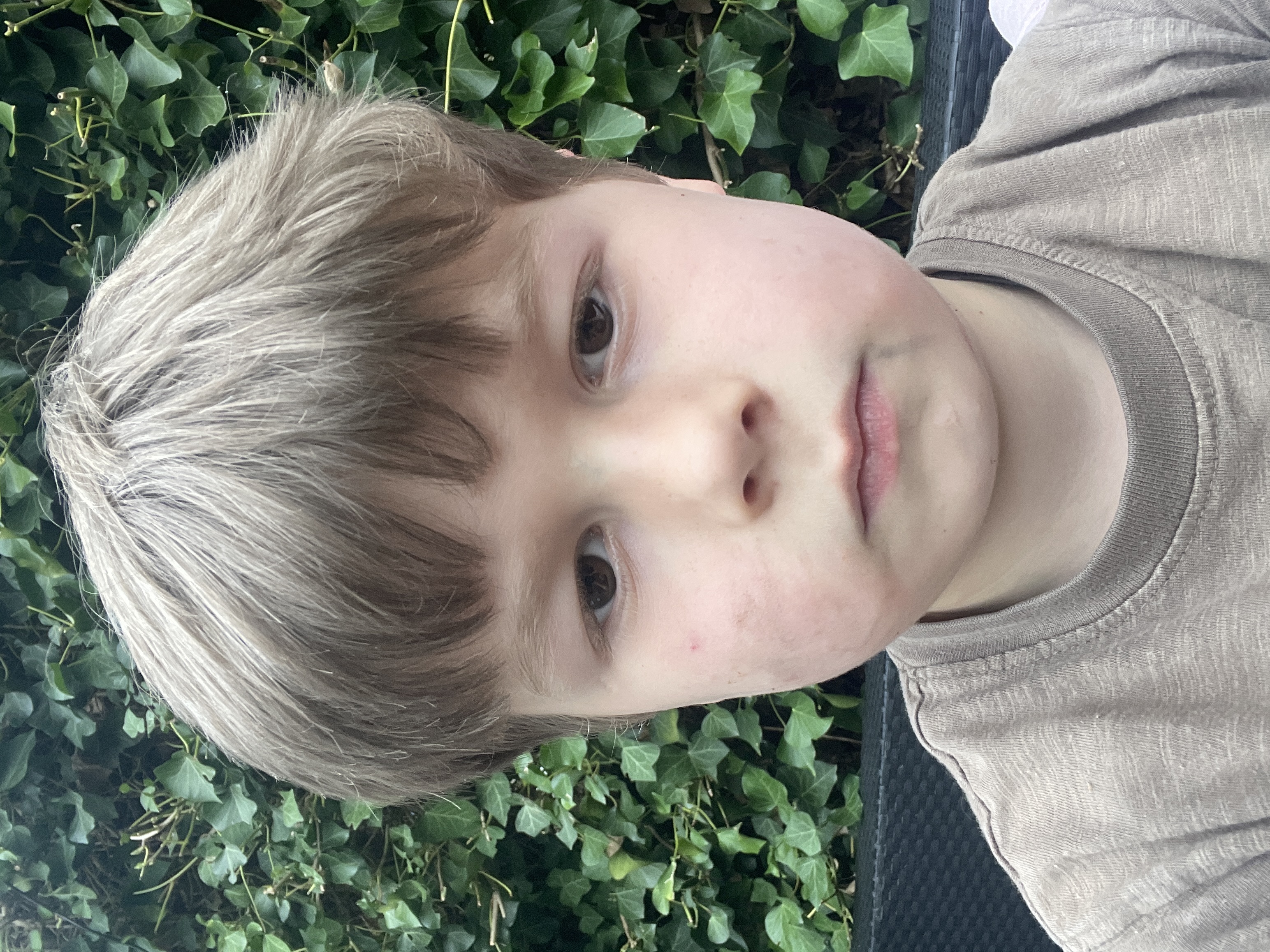 Simon rest de natuur