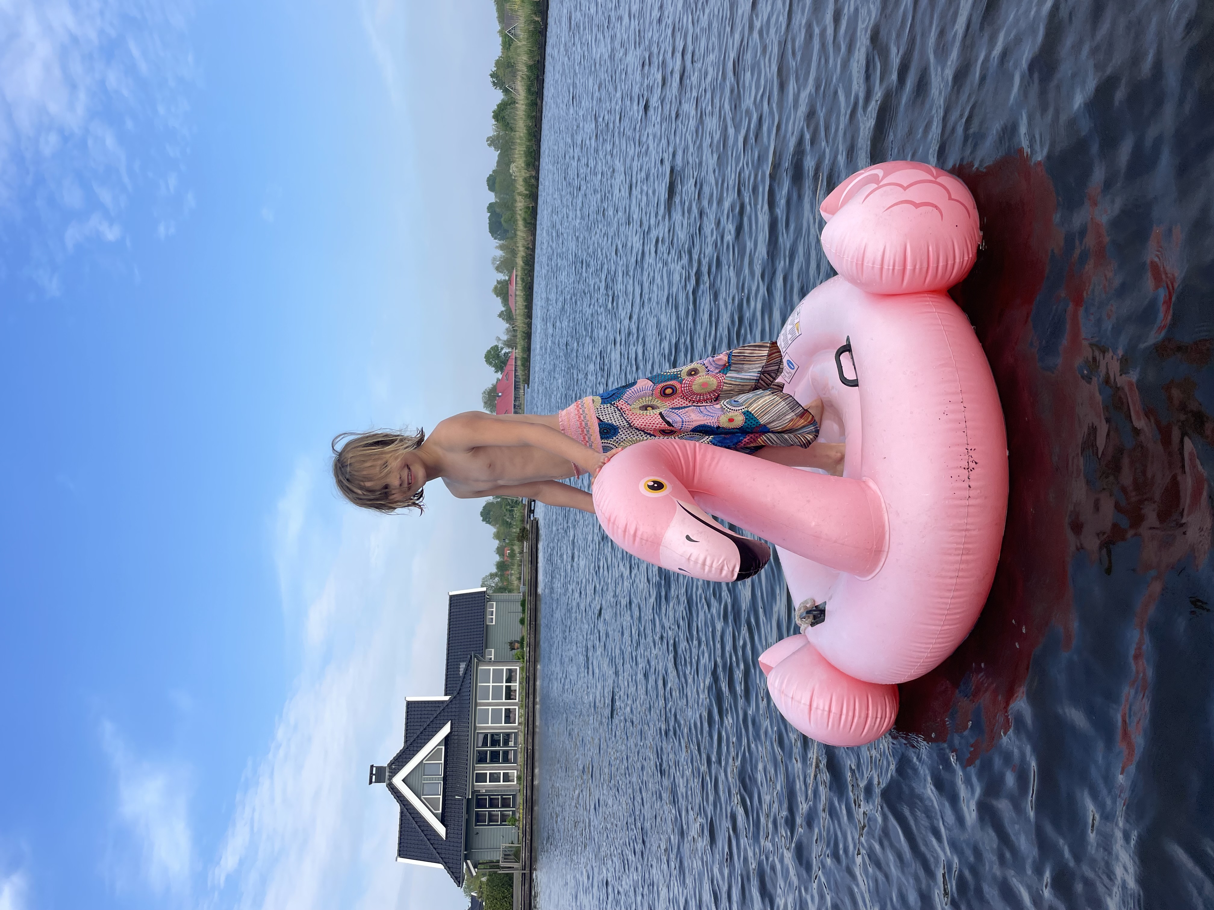 Wendes schildpadden actie