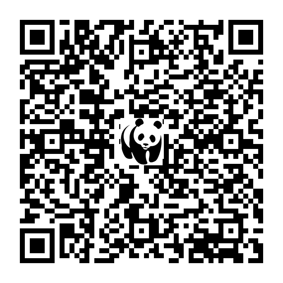 Scan deze QR-code om te doneren (vernieuw de pagina als je geen QR-code ziet)