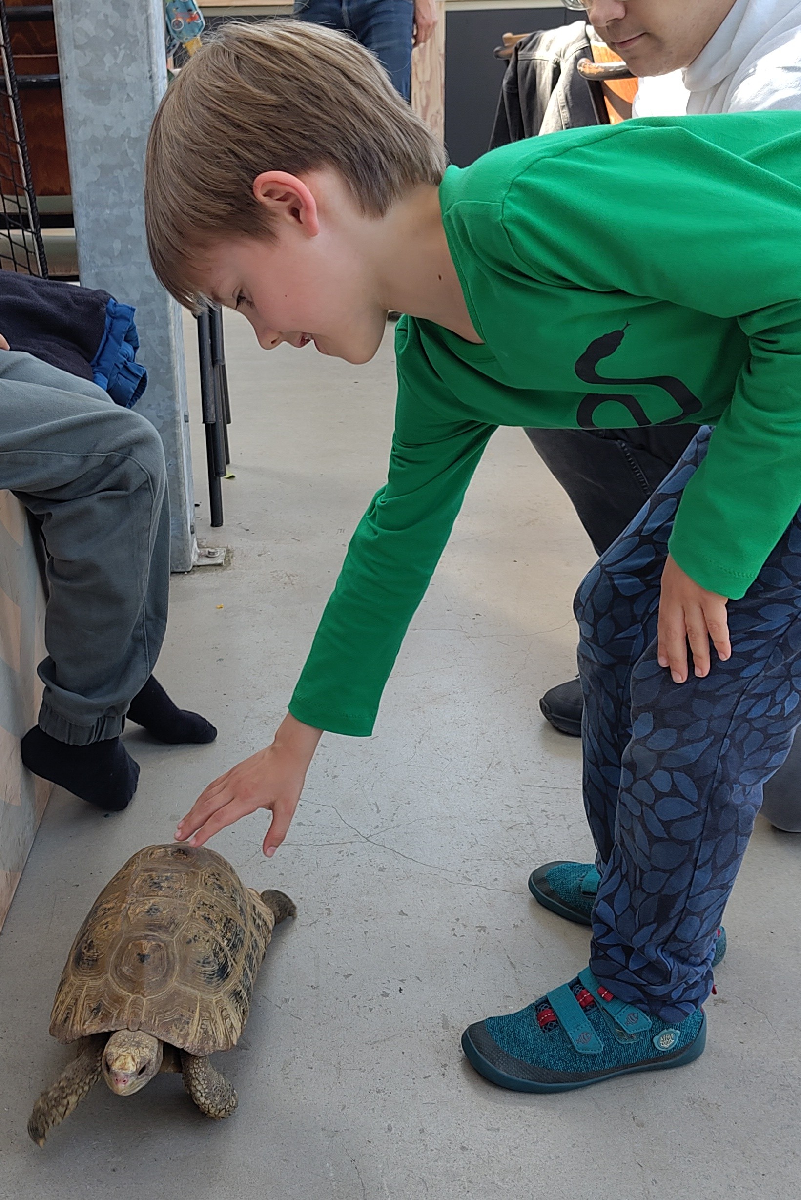 De Schildpaddenactie
