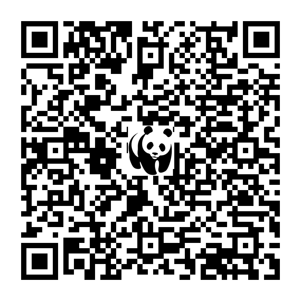 Scan deze QR-code om te doneren (vernieuw de pagina als je geen QR-code ziet)