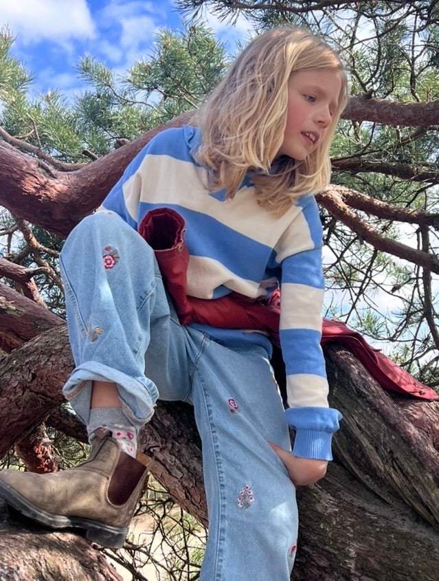 Jit helpt een olifant 