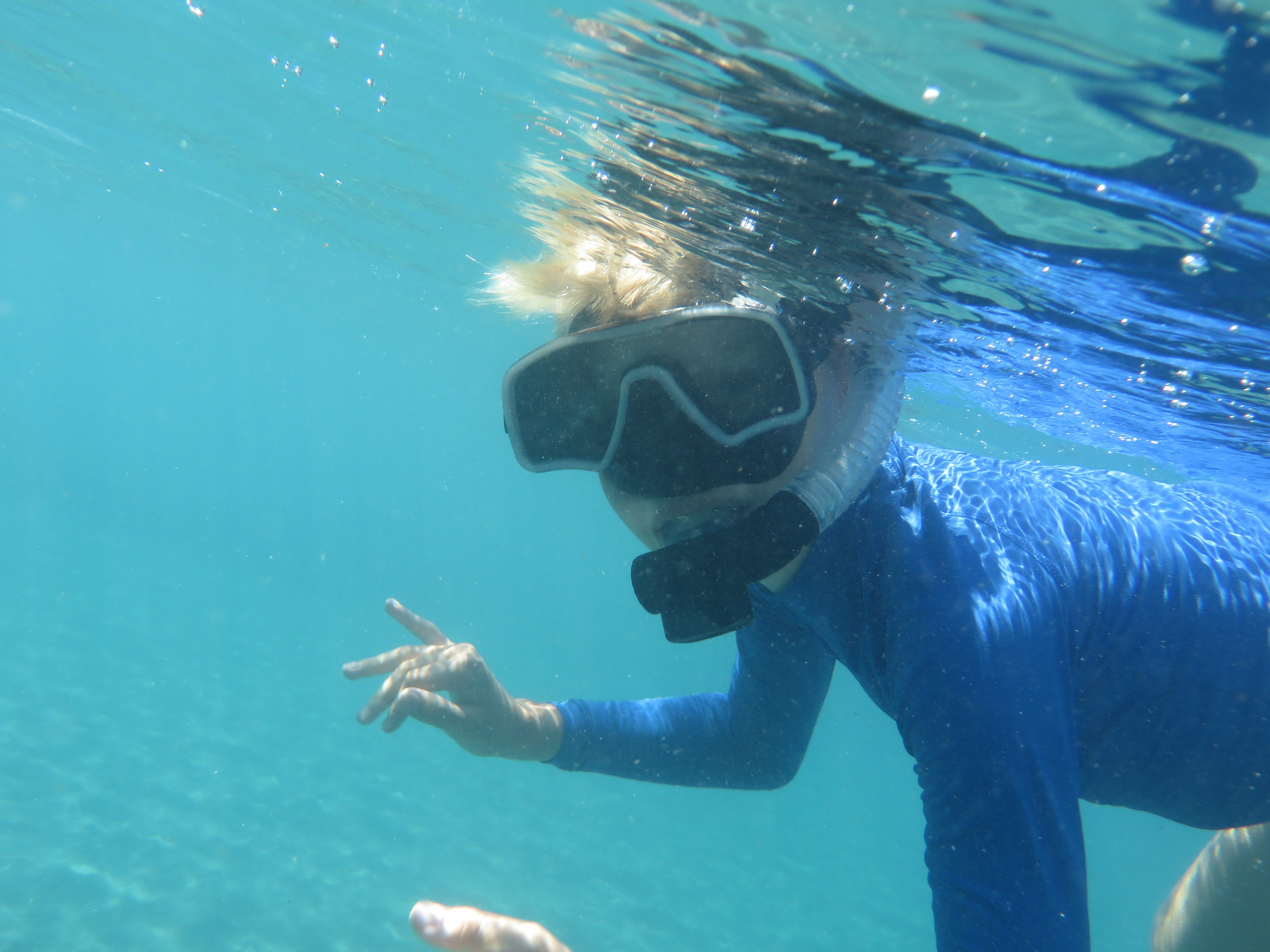 Casper redt schildpadden