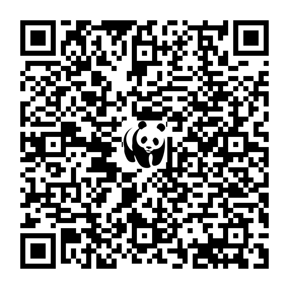 Scan deze QR-code om te doneren (vernieuw de pagina als je geen QR-code ziet)