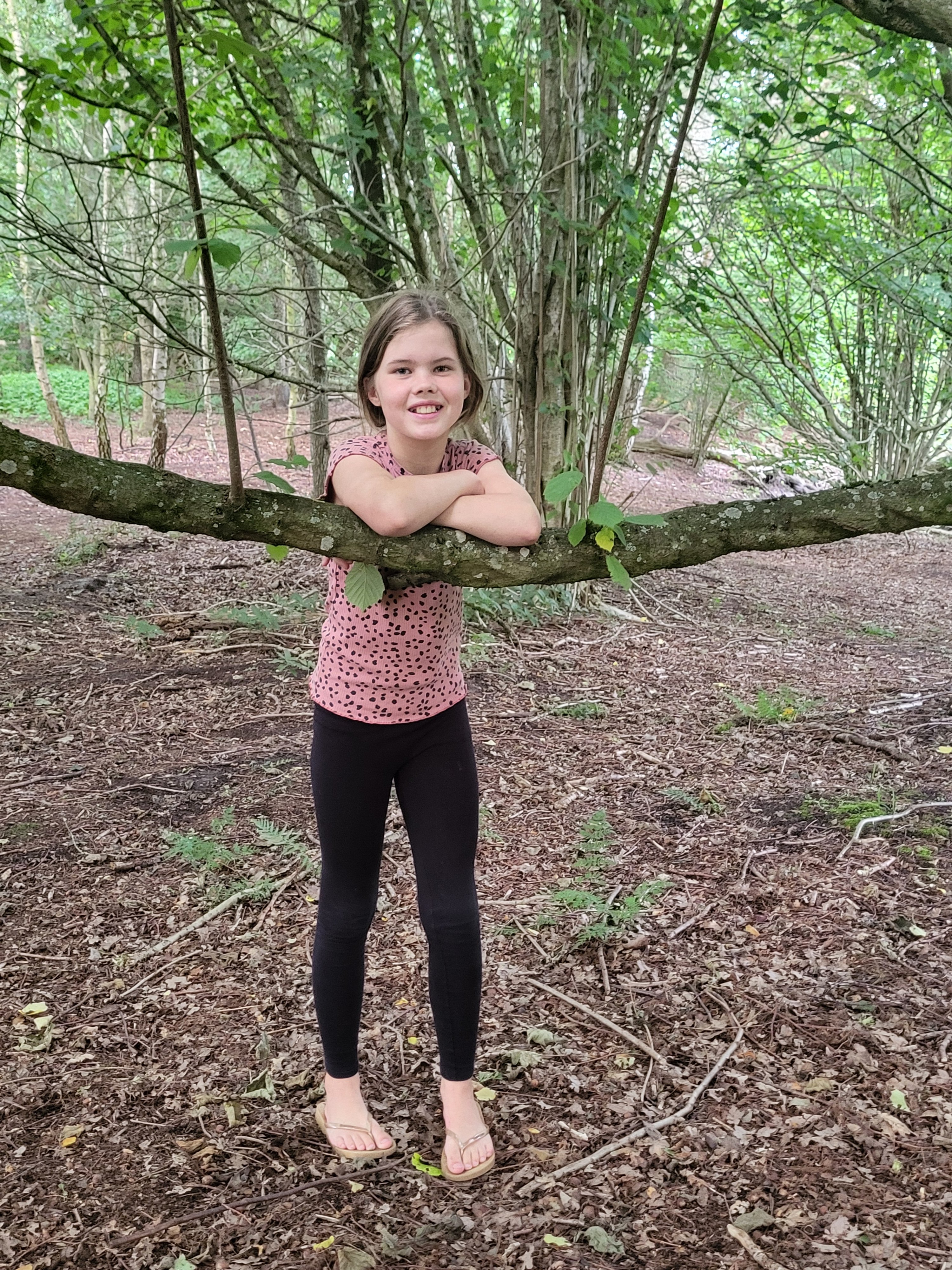 Zwemmen voor schildpadden