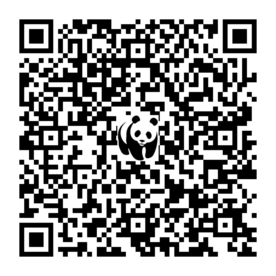 Scan deze QR-code om te doneren (vernieuw de pagina als je geen QR-code ziet)