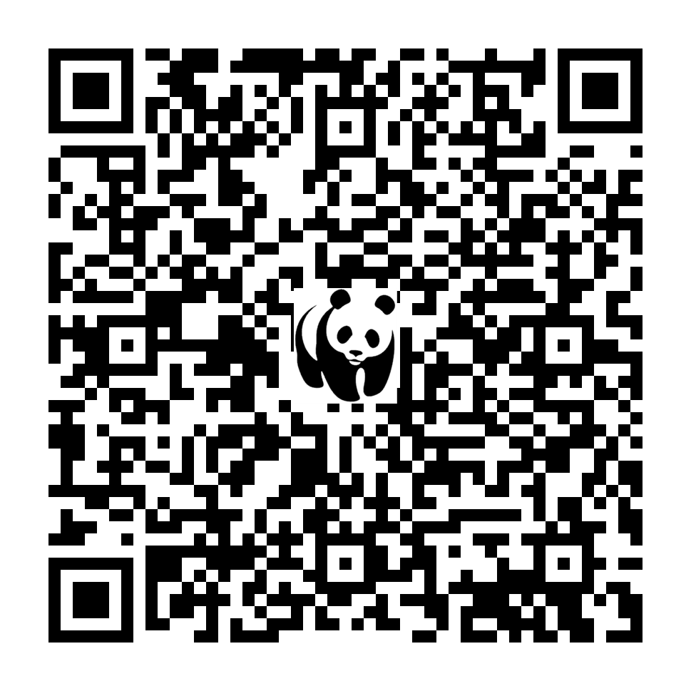 Scan deze QR-code om te doneren (vernieuw de pagina als je geen QR-code ziet)