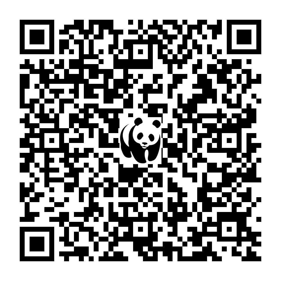 Scan deze QR-code om te doneren (vernieuw de pagina als je geen QR-code ziet)