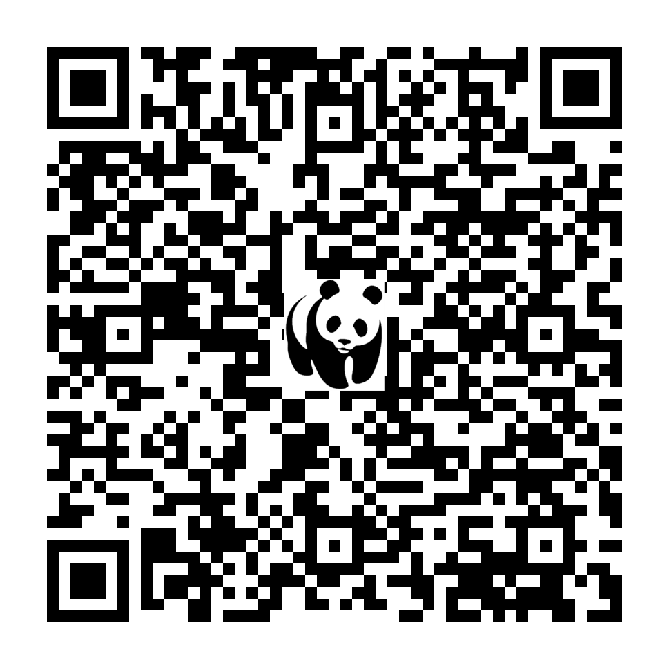 Scan deze QR-code om te doneren (vernieuw de pagina als je geen QR-code ziet)