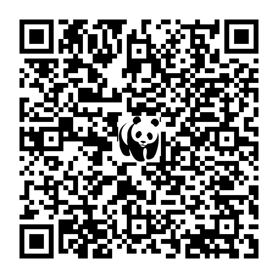 Scan deze QR-code om te doneren (vernieuw de pagina als je geen QR-code ziet)