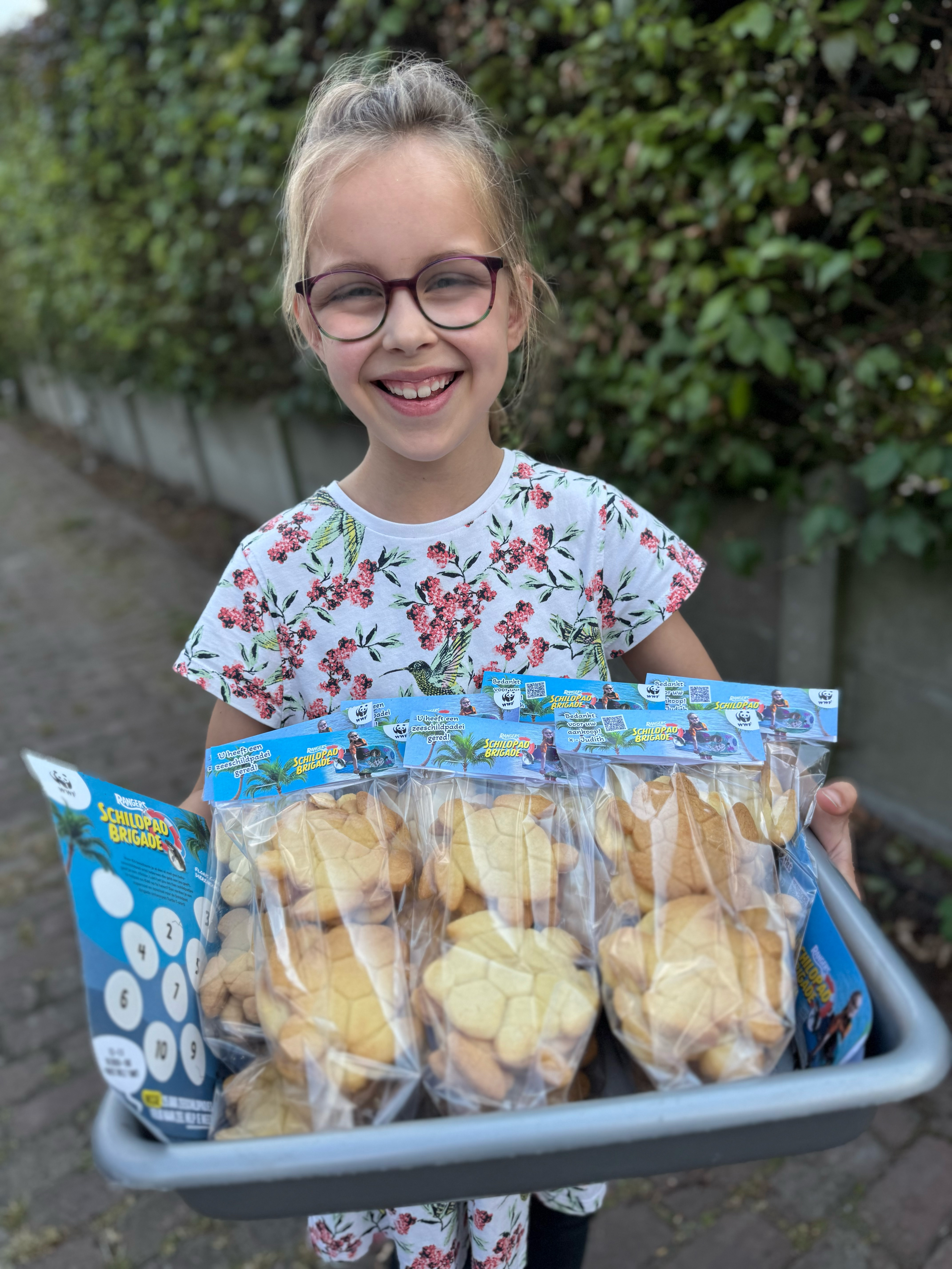 Judiths Schildpadkoekjes