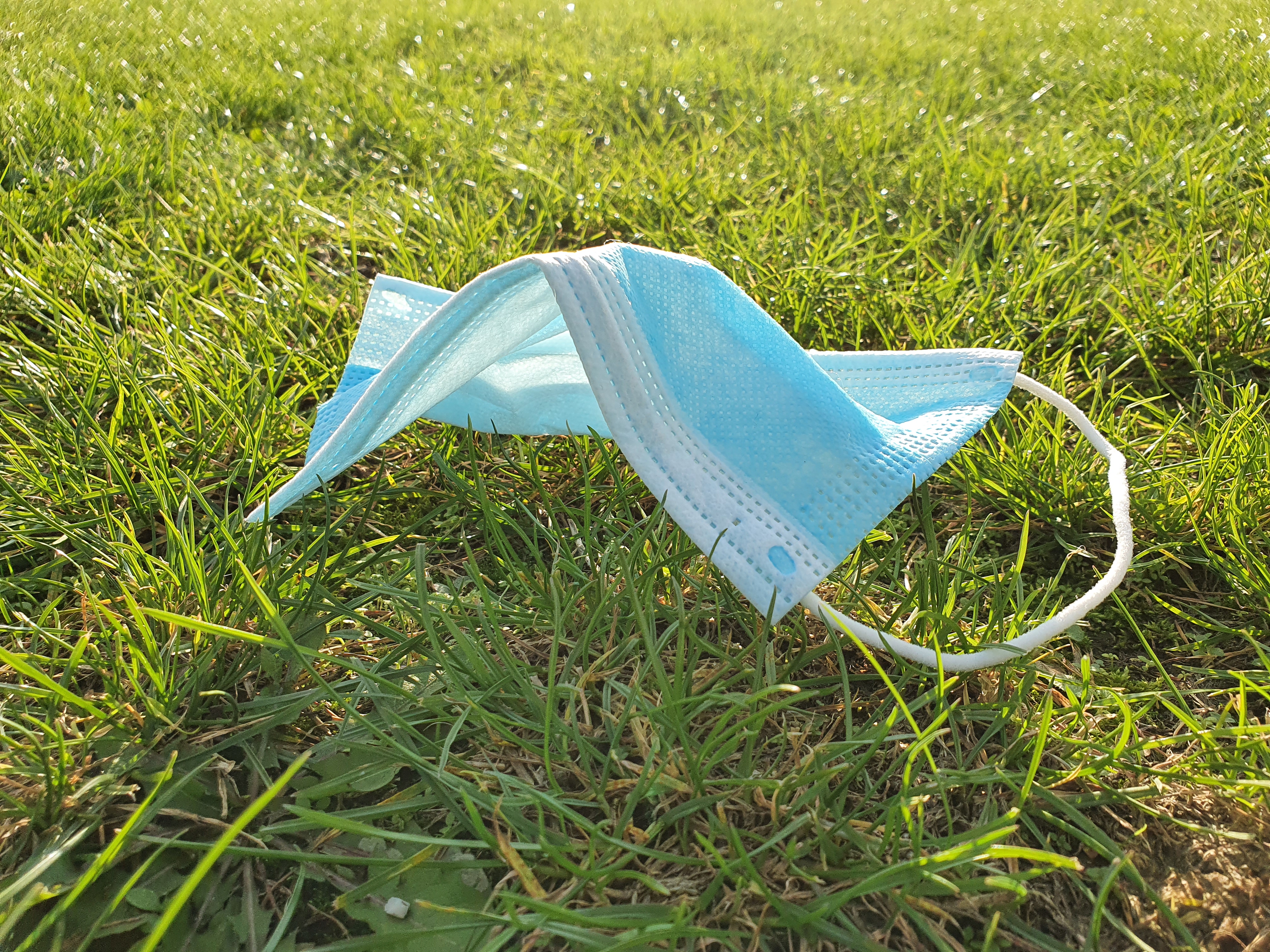 Mondkapje op het gras