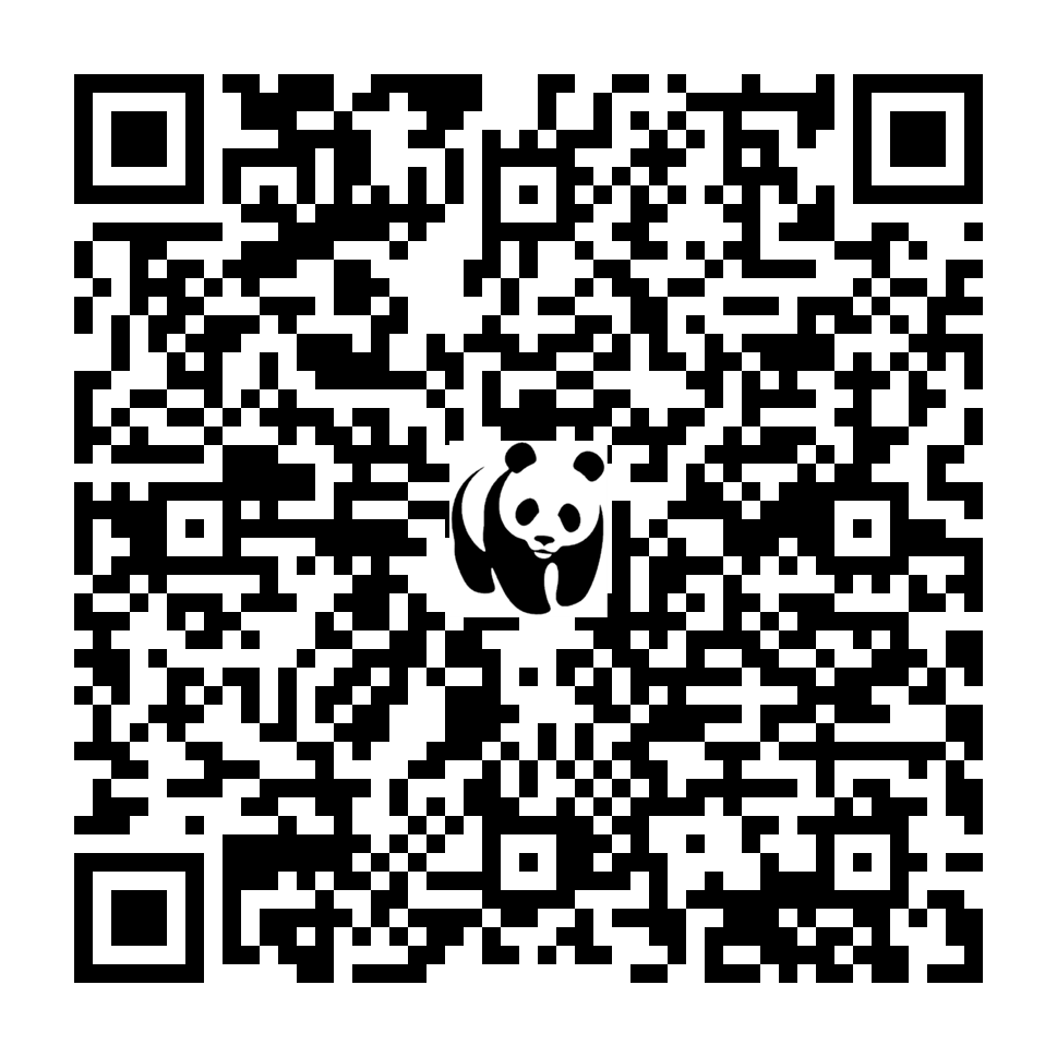 Scan deze QR-code om te doneren (vernieuw de pagina als je geen QR-code ziet)