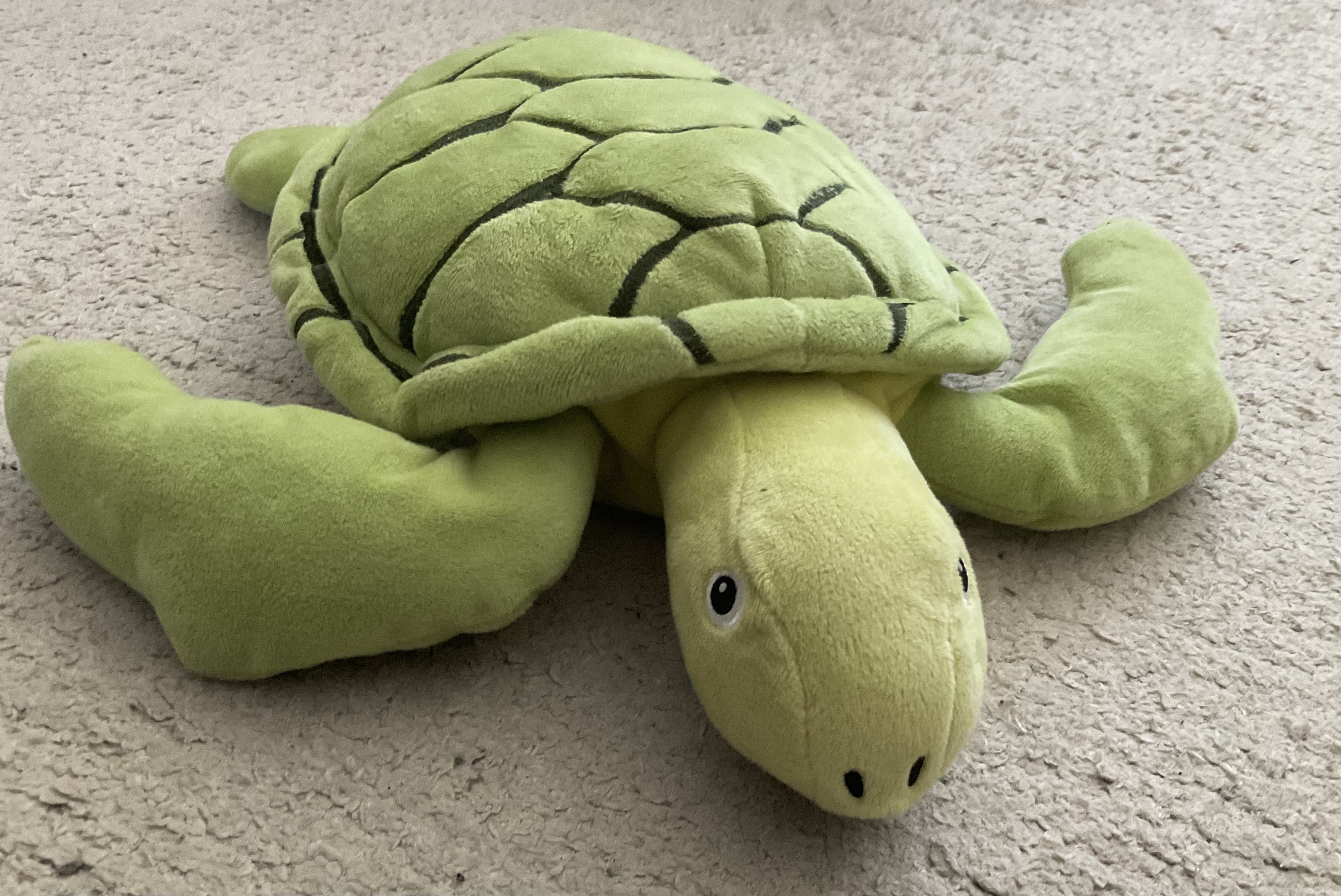 Schildpad statiegeld