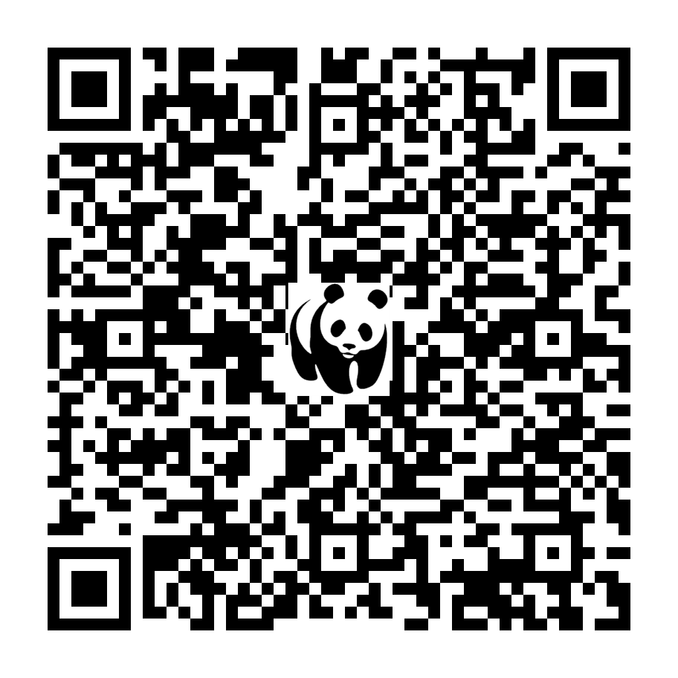 Scan deze QR-code om te doneren (vernieuw de pagina als je geen QR-code ziet)