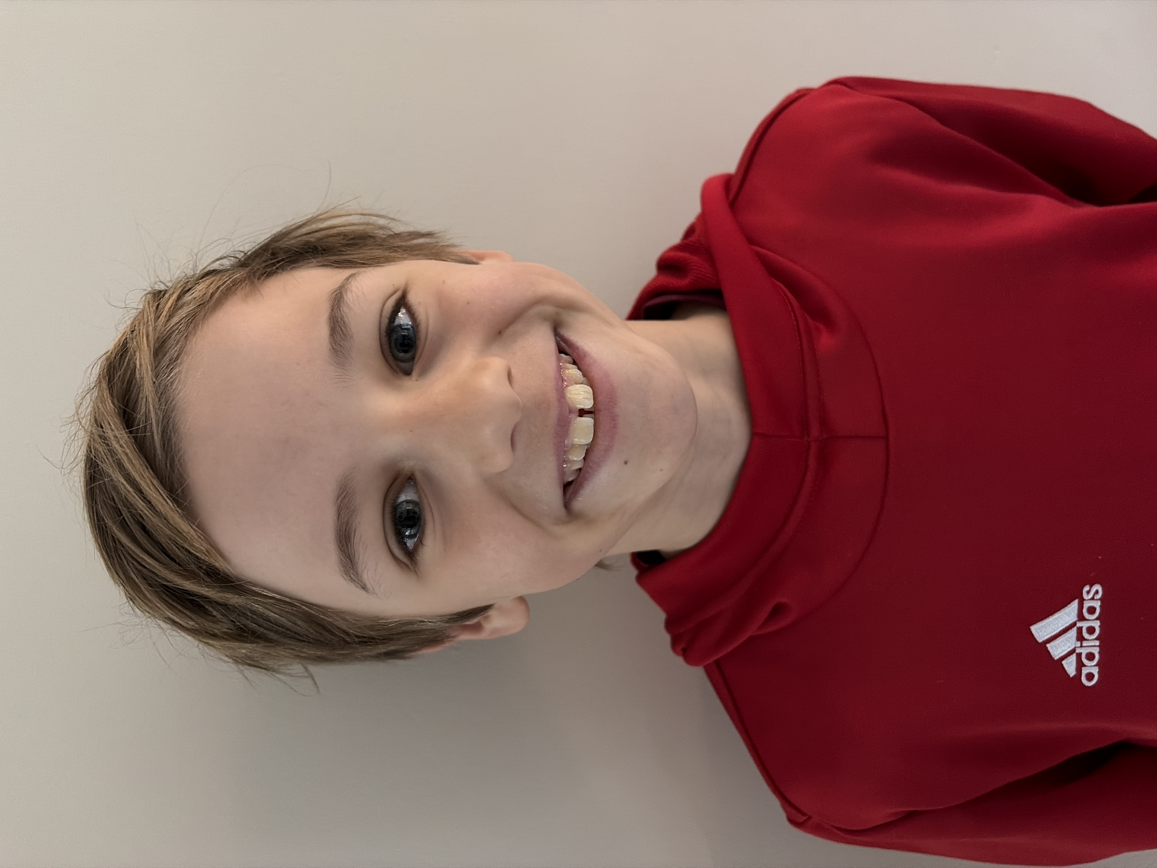 Ties voor de olifant