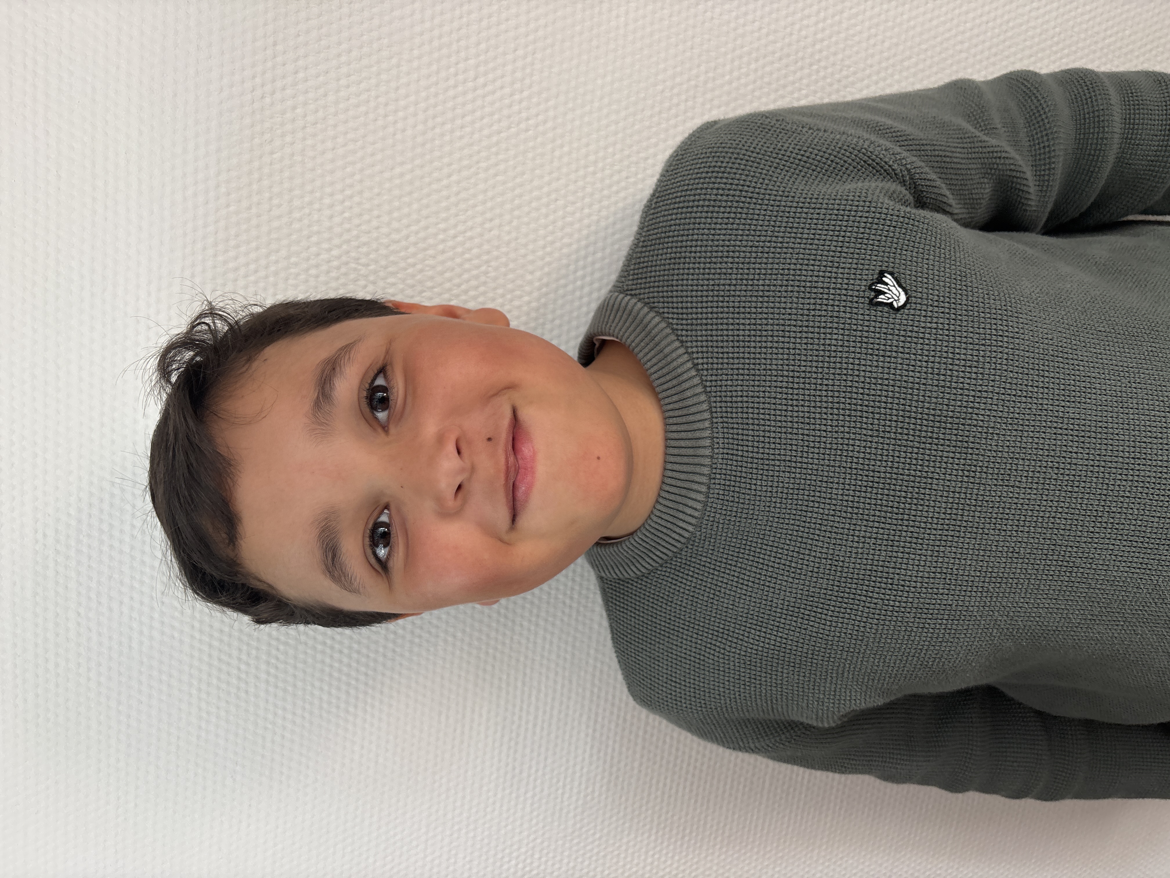 Liam redt de olifanten