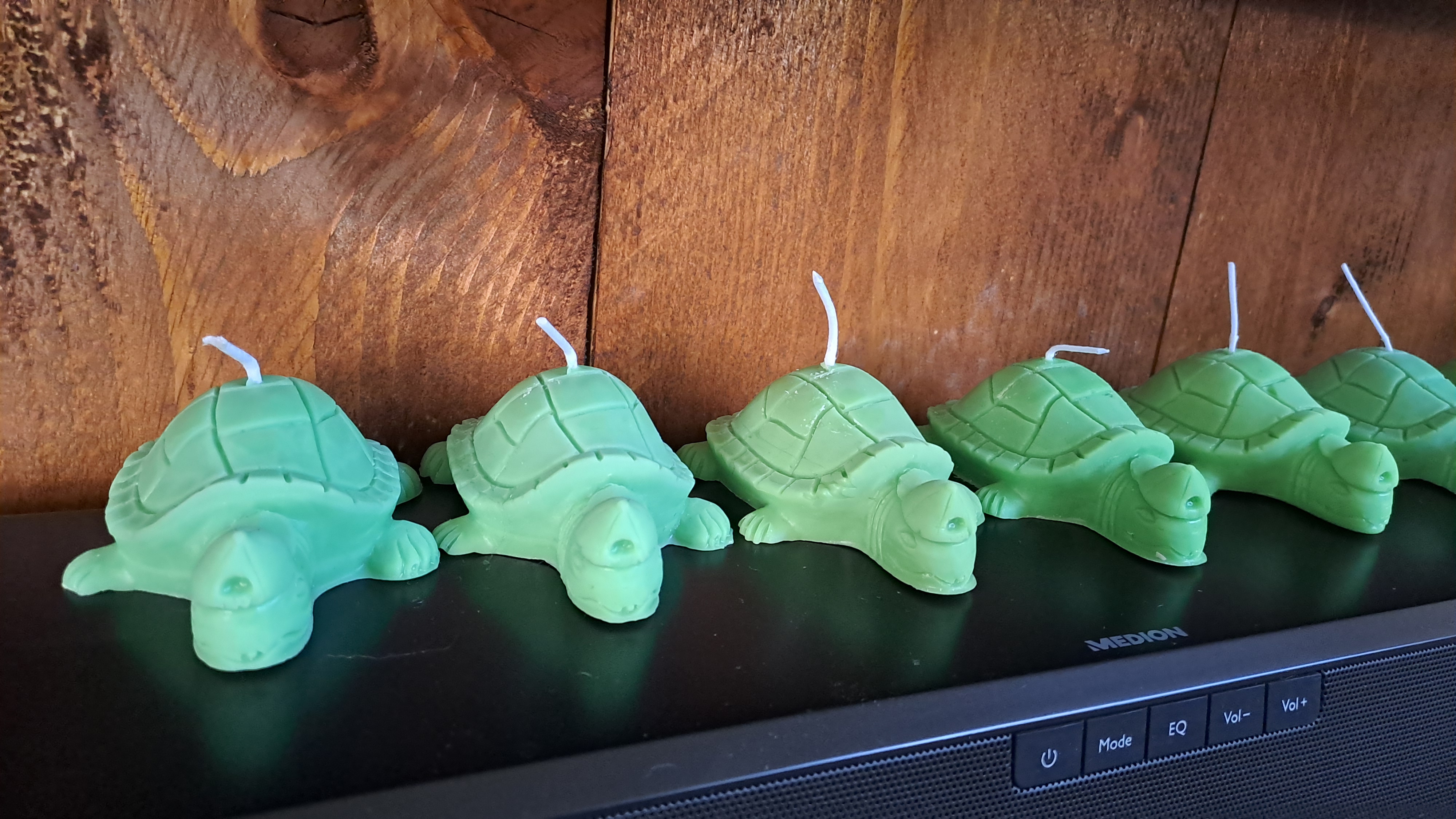 Xaveer helpt de zeeschild