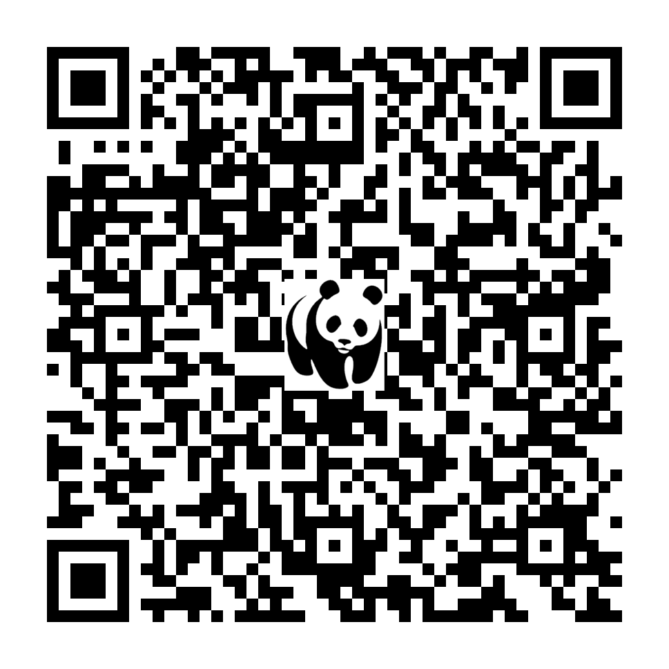 Scan deze QR-code om te doneren (vernieuw de pagina als je geen QR-code ziet)