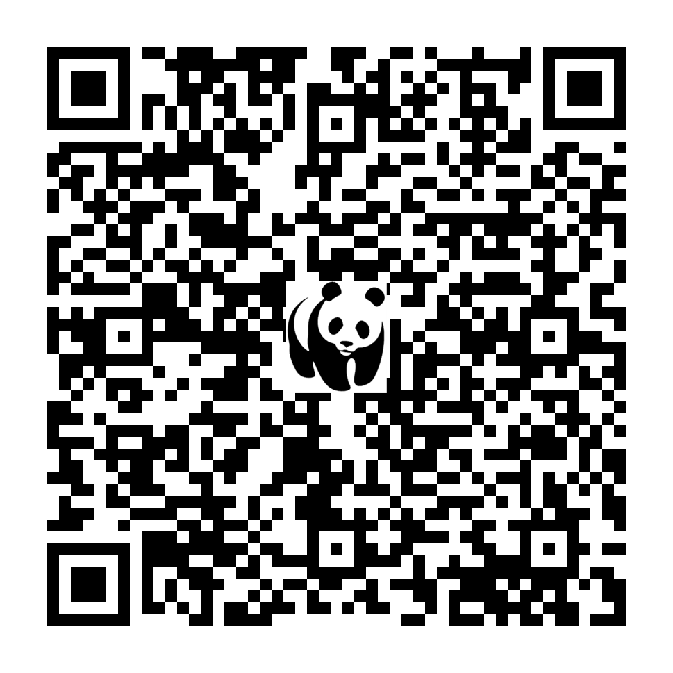 Scan deze QR-code om te doneren (vernieuw de pagina als je geen QR-code ziet)