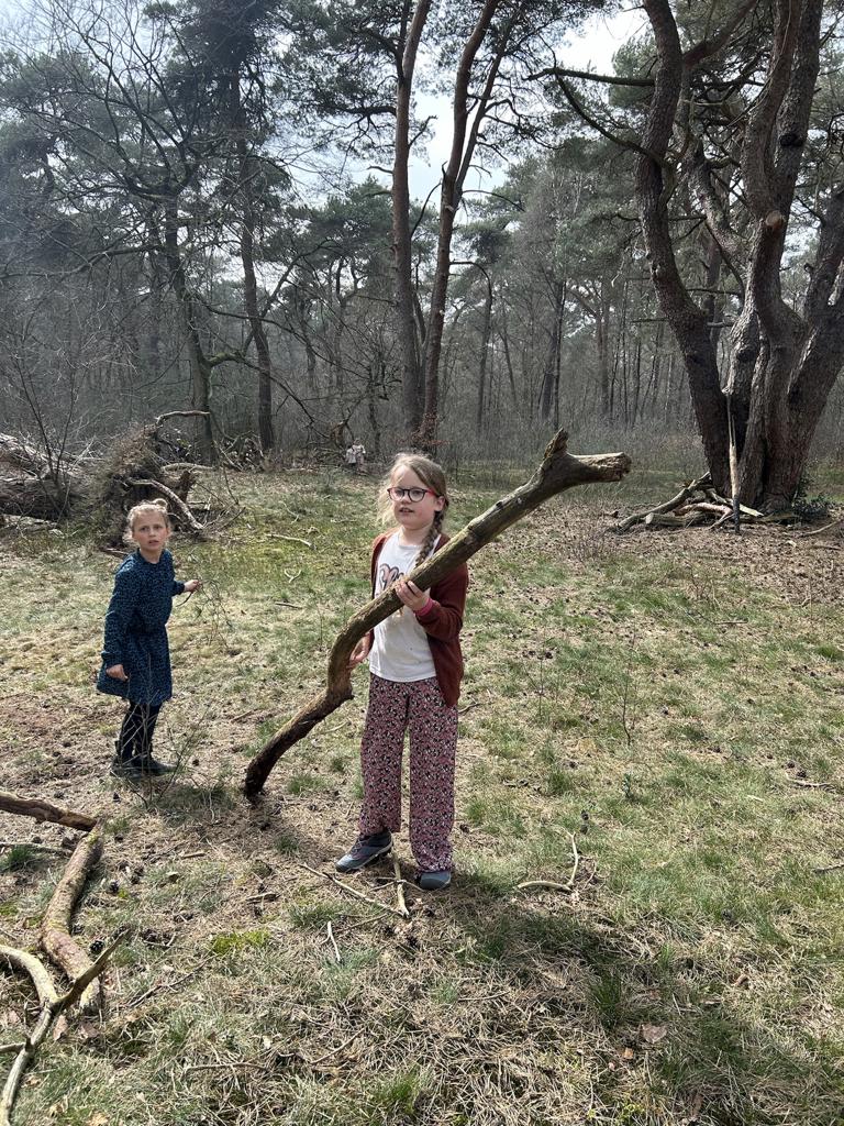 Cake voor de zeeschildpad