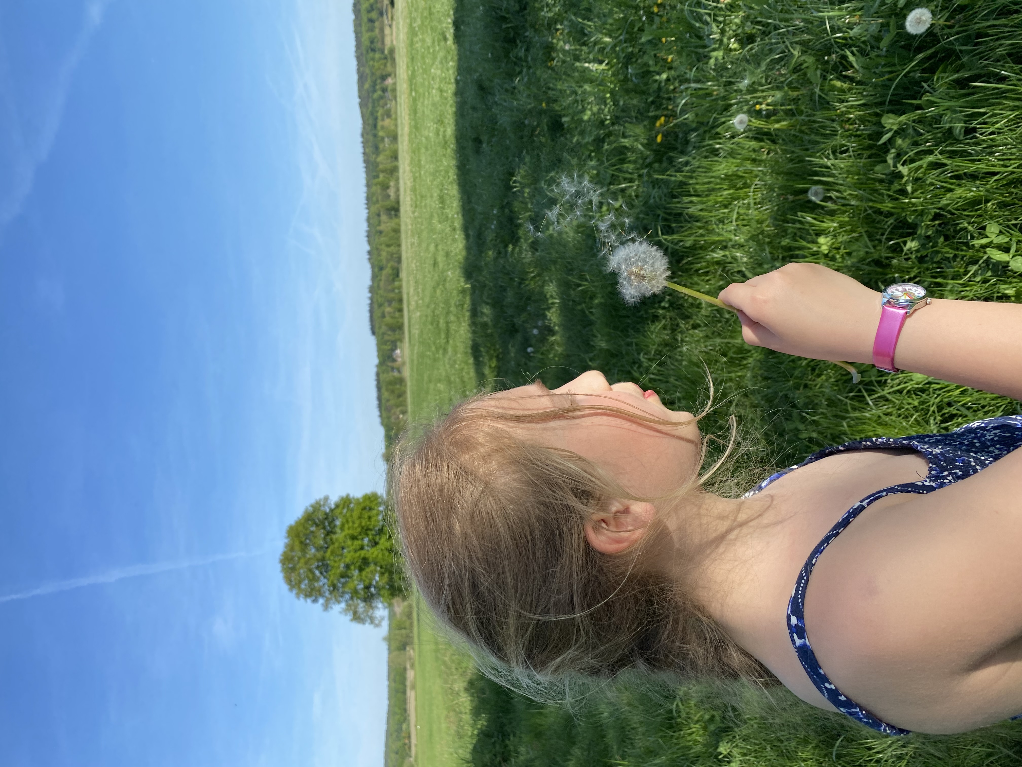 Annelou redt schildpadjes