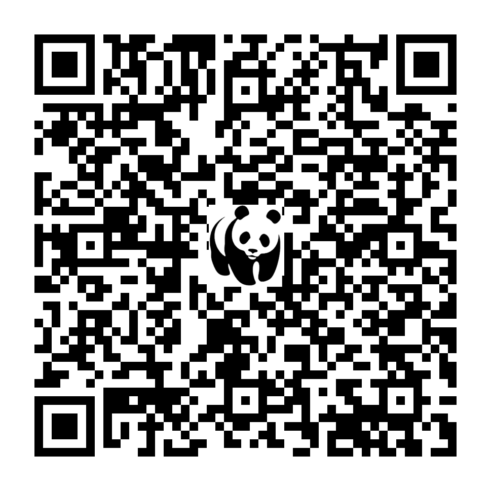 Scan deze QR-code om te doneren (vernieuw de pagina als je geen QR-code ziet)