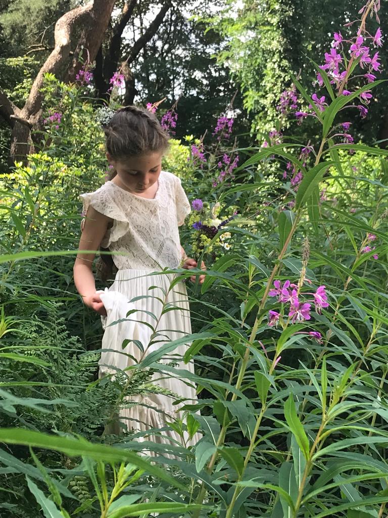 Kom op voor de schildpad