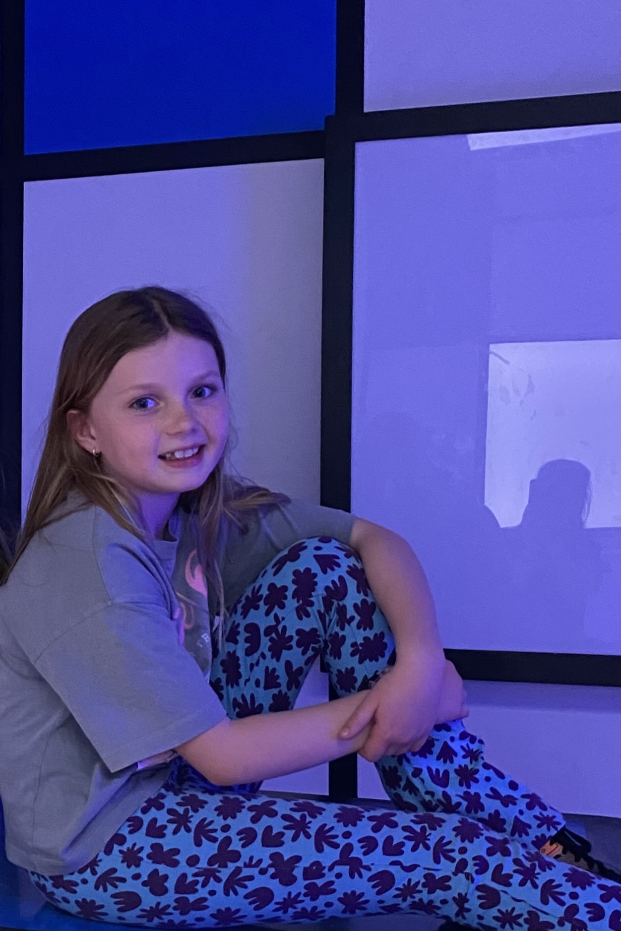 Meis redt de schildpad