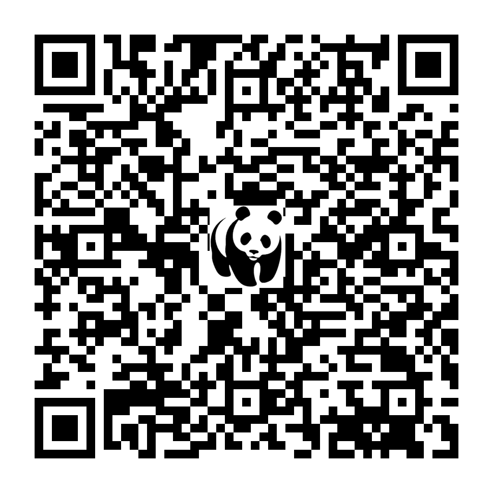 Scan deze QR-code om te doneren (vernieuw de pagina als je geen QR-code ziet)