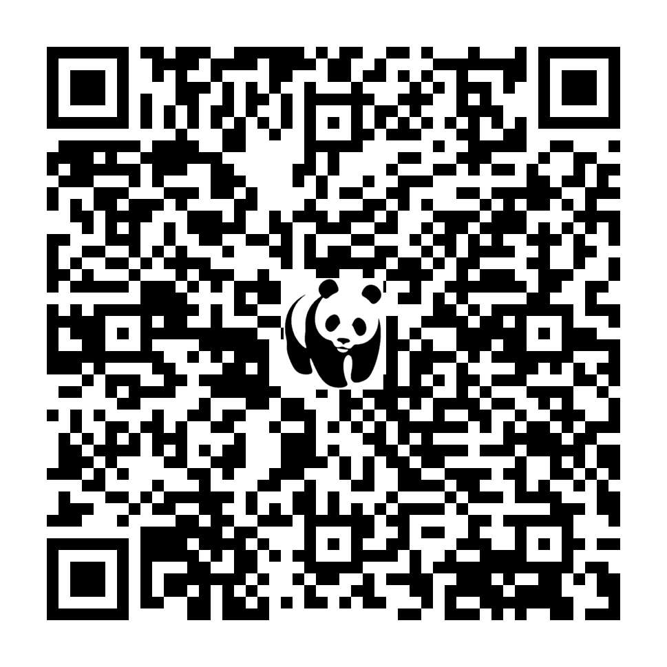 Scan deze QR-code om te doneren (vernieuw de pagina als je geen QR-code ziet)
