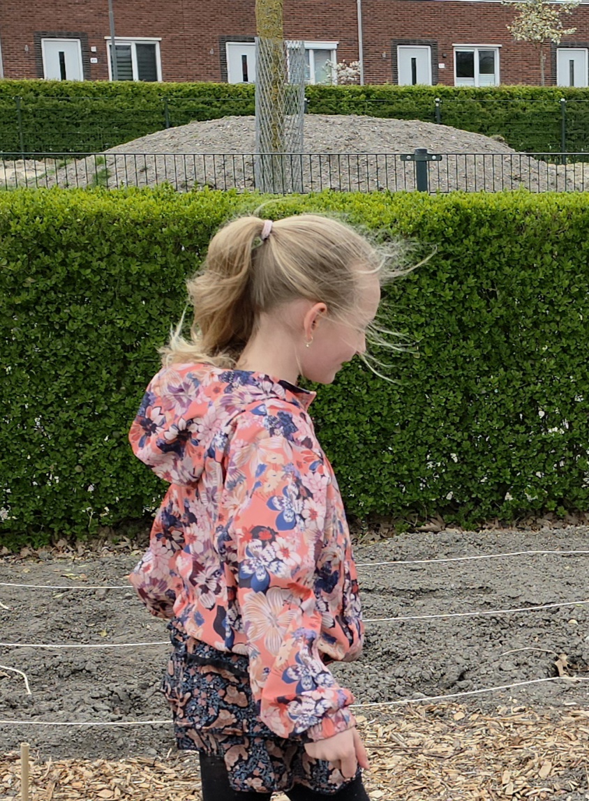 De olifanten redding