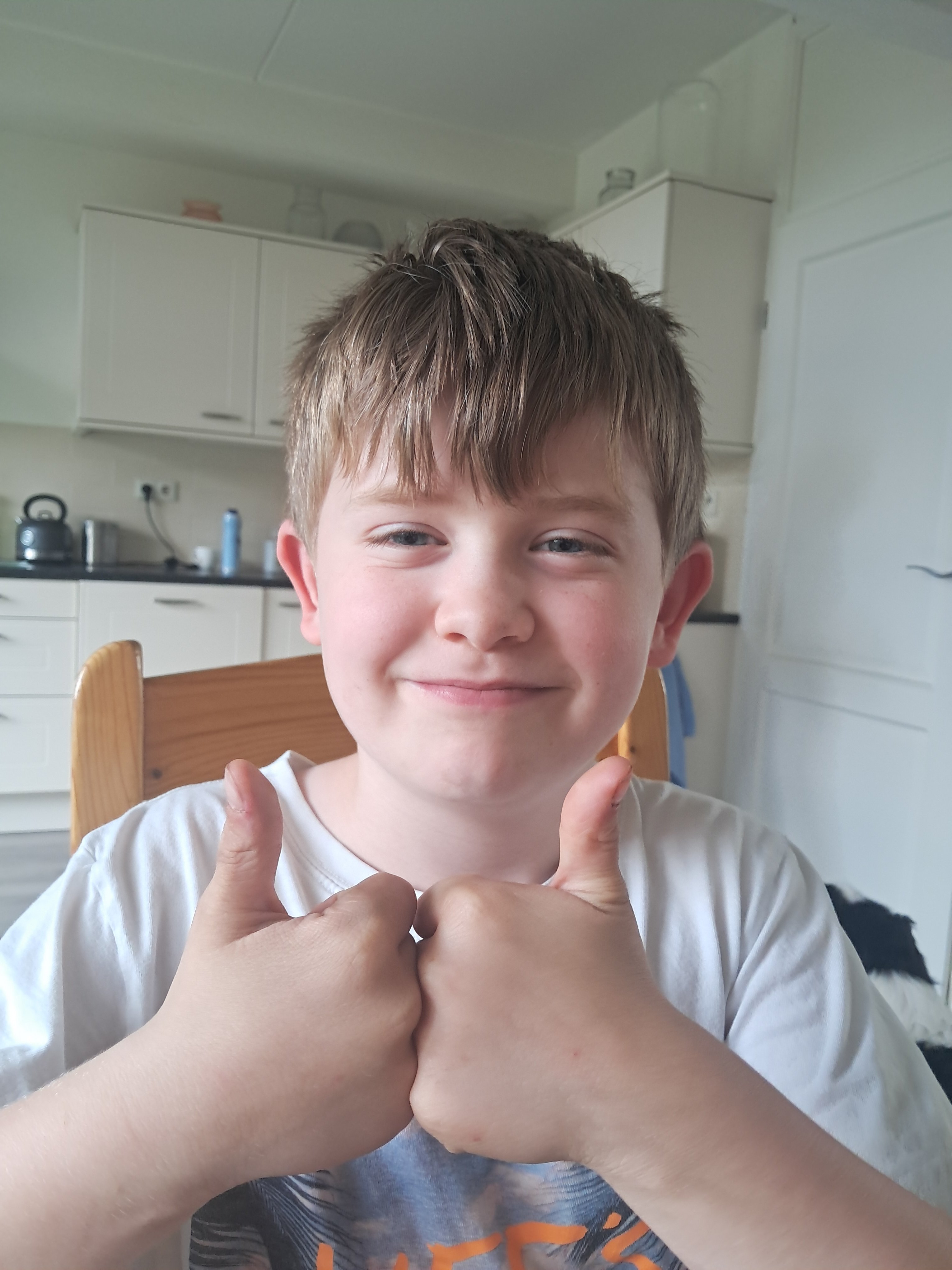 Help de zeeschildpad