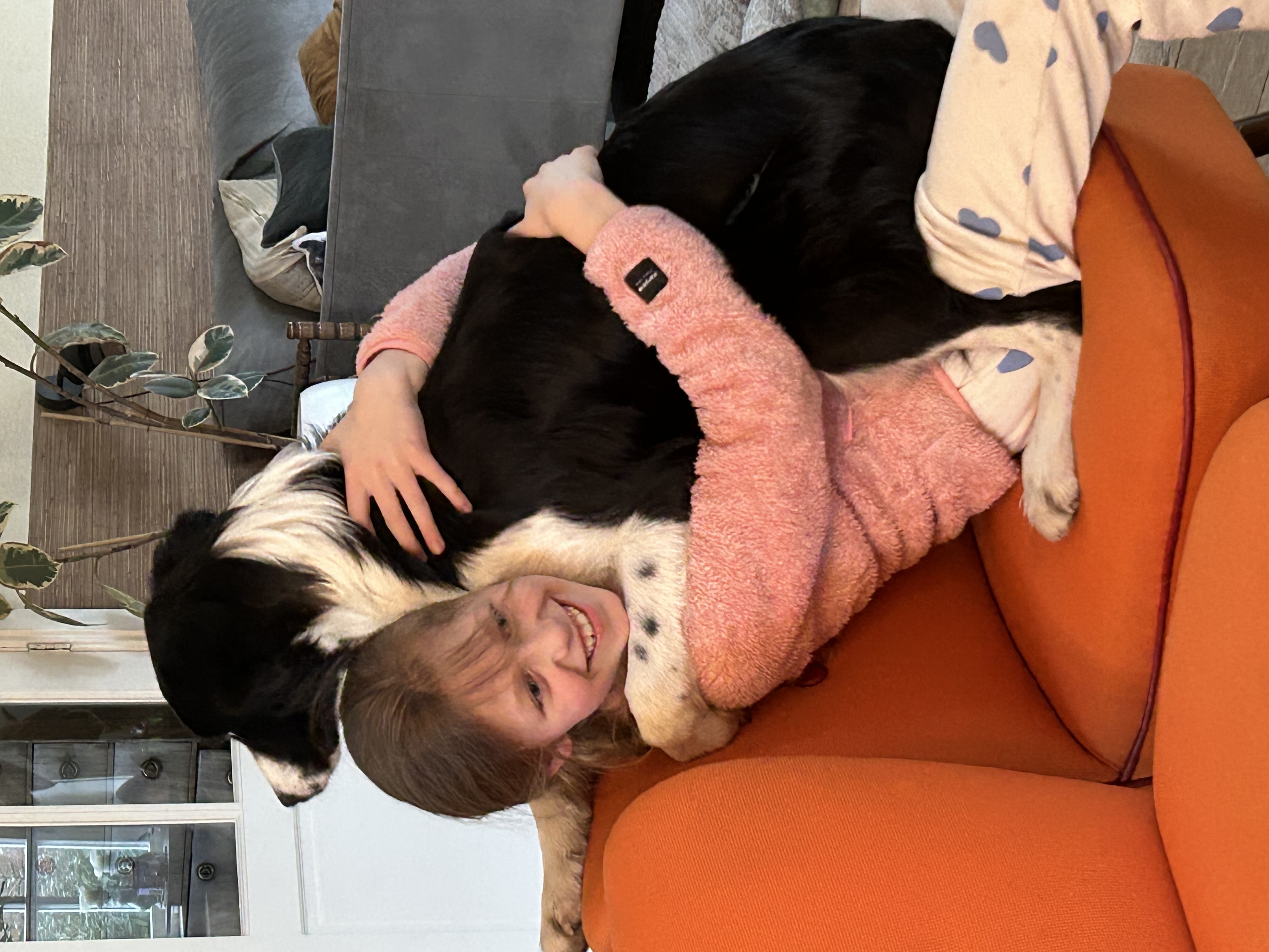 Help de baby schildpad 